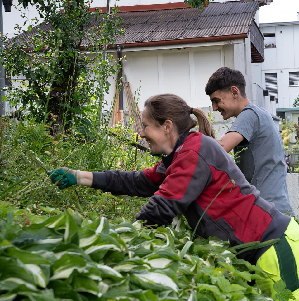 07 gewa gartenpflege