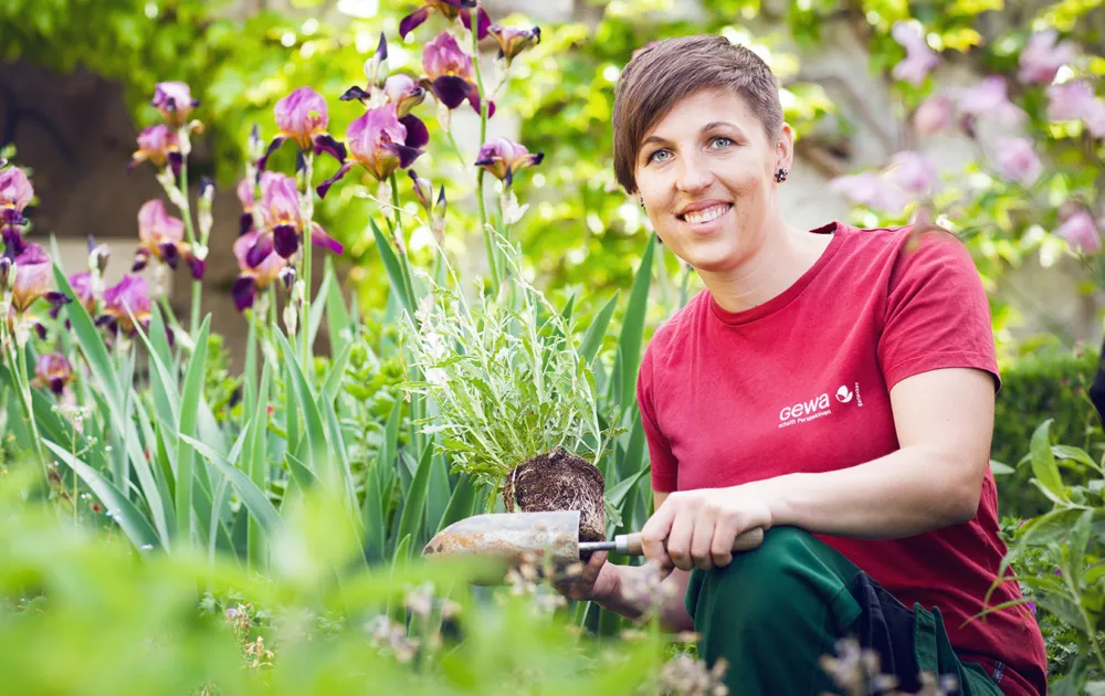 Gewa gartenbau google