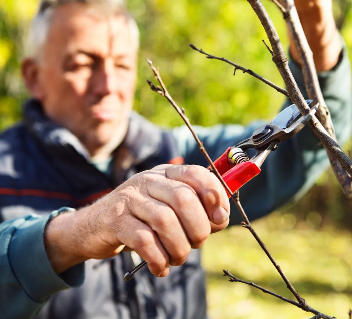 Mitarbeiter der den Baum schneidet