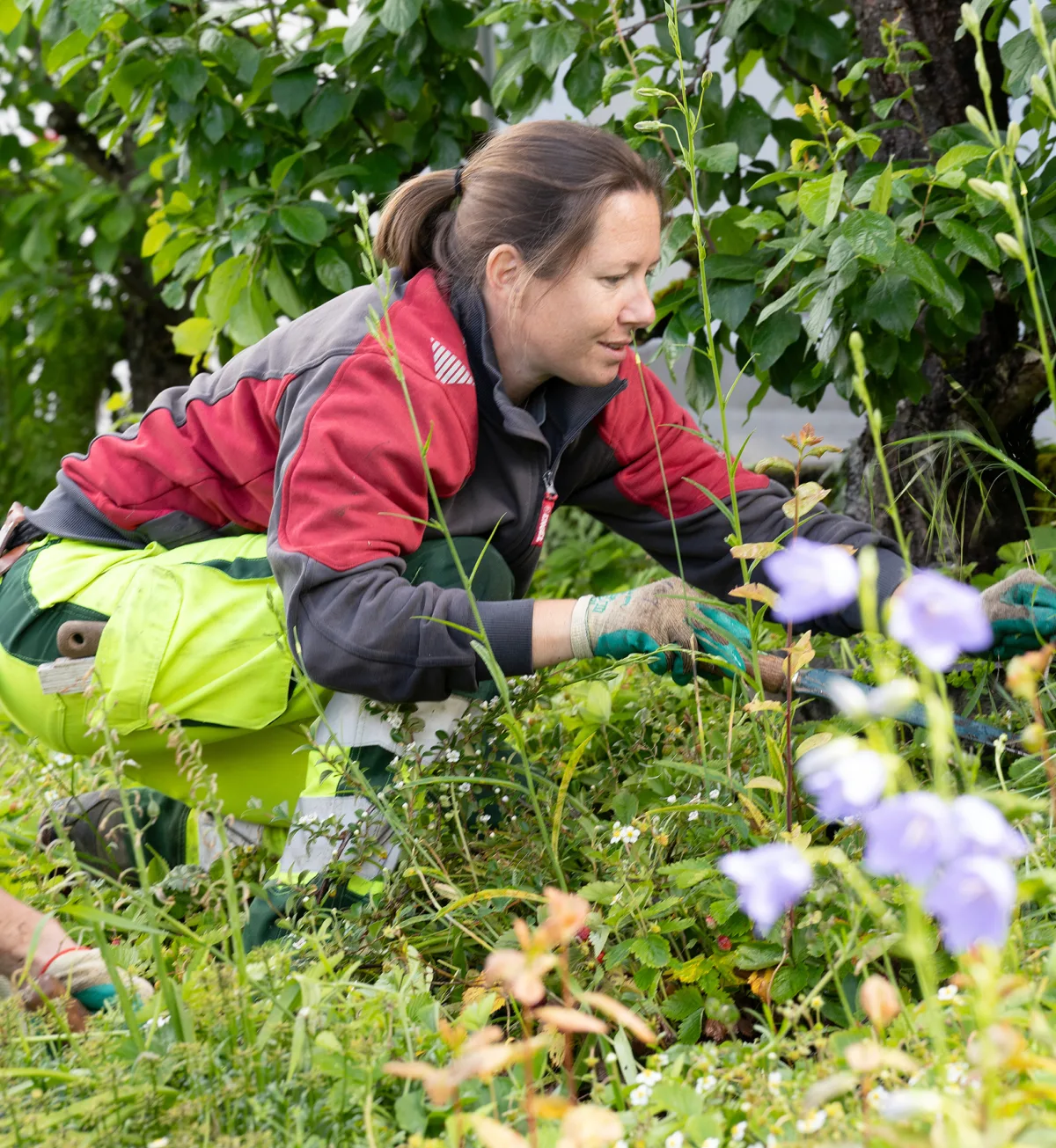 01 gewa gartenpflege
