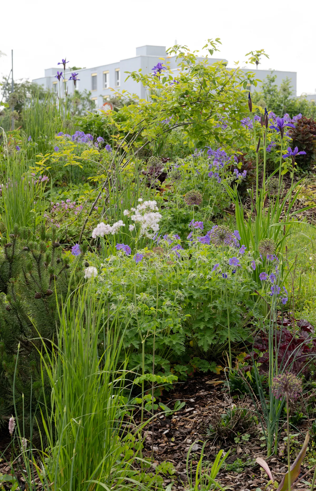 01 gewa naturnah garten