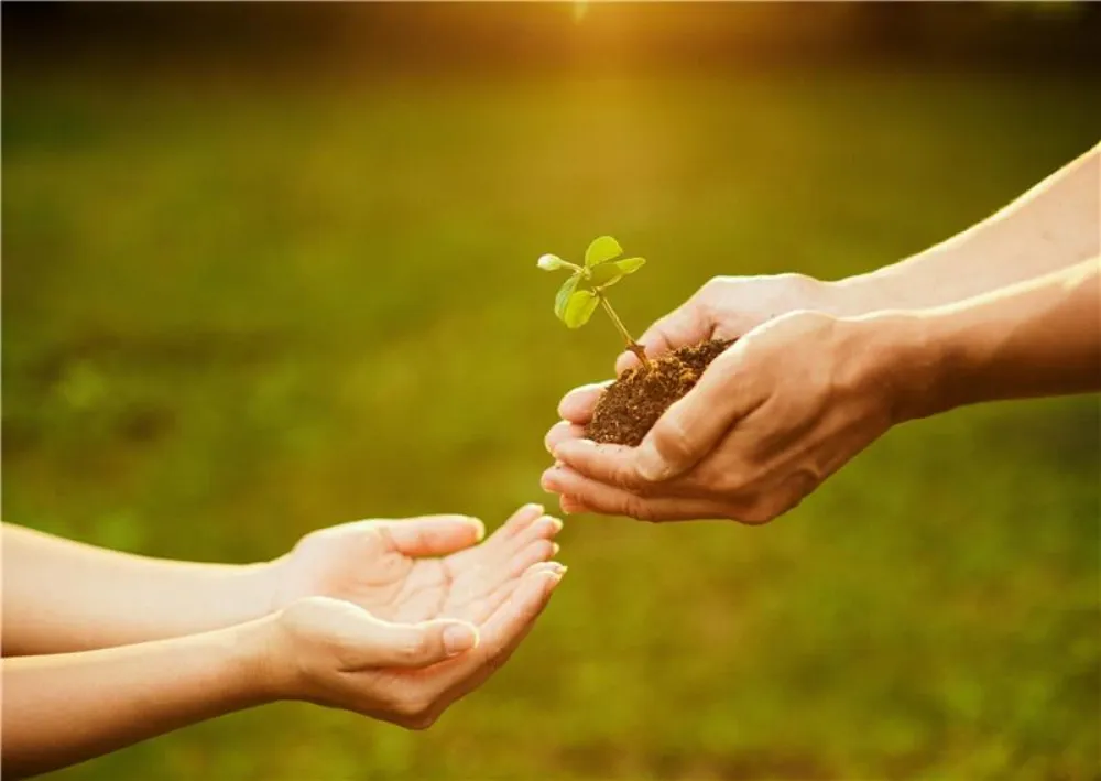 Werde Teil der GEWA Familie