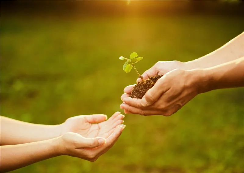 Werde Teil der GEWA Familie