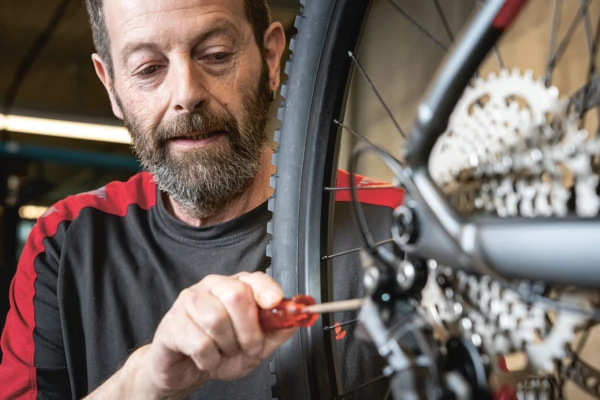 News Bike World